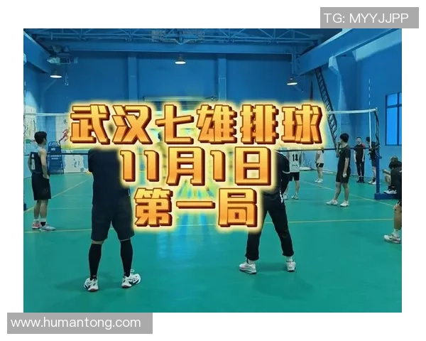排球专题：聚焦武汉排球队的实力