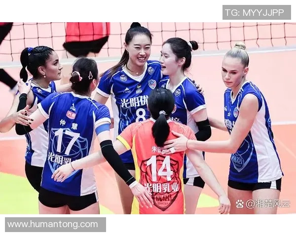 排球比赛经验排行榜：南京排球队位居第8名