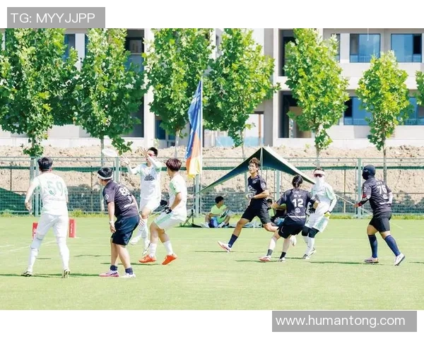 飞盘评论：南京飞盘队的中路突破得失